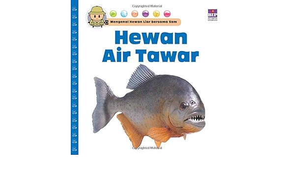 440+ Ambar Hewan Air HD