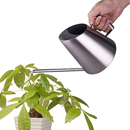 image for IMEEA Watering Can for Indoor House Plants Long Spout Brushed SUS304 S