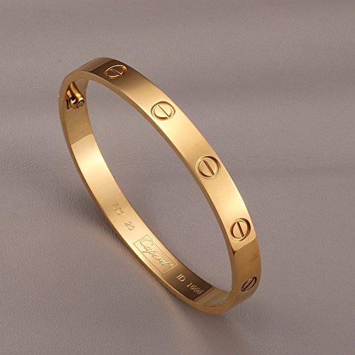 Stainless Steel Screw Head Oval GoldTone Bangle Bracelet Screwdriver