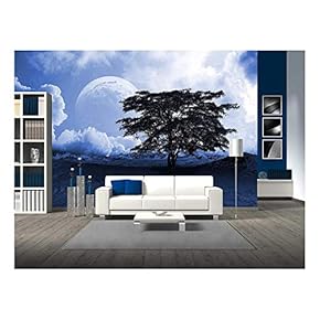 Desert Landscape - Removable Wall Mural | Self-Adhesive Large Wallpaper - 66x96 inches
