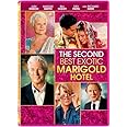 The Second Best Exotic Marigold Hotel