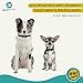Anti Bark Collar Small to Medium Dog Rechargeable - Non Shock No Bark Device, Pain-Free, Safe, Ultrasonic Vibration - Dog Training Collars for Barking and Behavior - with USB Cord and Colorful Tags