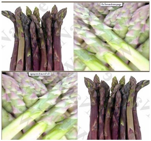 30 x Asparagus Seeds - ARGENTEUIL PURPLE Asparagus - A+ French HEIRLOOM Asparagus - By MySeeds.Co 30 x Asparagus Seeds - ARGENTEUIL PURPLE Asparagus - A+ French HEIRLOOM Asparagus - By MySeeds.Co