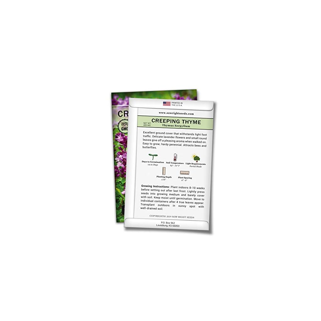 Sow Right Seeds Creeping Thyme Seeds to Plant Full Sow Right Seeds Creeping Thyme Seeds to Plant Full