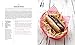Haute Dogs: Recipes for Delicious Hot Dogs, Buns, and Condiments