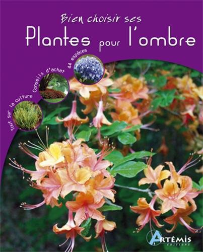 Plantes pour l'ombre