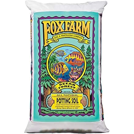 champion plus size men