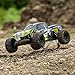 ECX AMP MT 1:10 2WD Monster Truck: Black/Green RTR