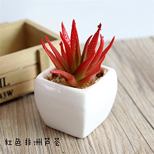 Huayifang Creative Ornaments Mini Simulation Succulents Bonsai Red Aloe Vera  | Desertcart Gambia