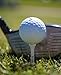 STIXX Biodegradable Golf Tees - Hard & Durable - 100 Count: 60 Green Long Tees - 3 1/4 and 40 White Short Tees - 2 1/8. Best for all Over-Sized Drivers, Irons & Hybrids. Longer Drives & Lower Scores (33438)