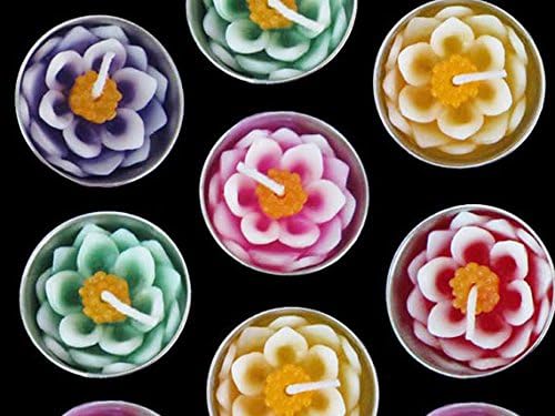 Candle : Handmade Candles:Scented Two Tone Lotus Tealight Candles in Metal Cups for Home, Party Decoration, Gift, Souvenir(10 Pieces)