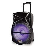 Quantum QDJ15 Portable Speaker System