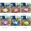 DONE-BY-NATURE-Dino-Egg-Bath-bombs-6-Pack-with-surprise-dinosaur-toy-inside-Organic-natural-Vegan-Spa-Bath-Bomb-Kit-100-Child-Safe-With-Natural-Oils-Moisturisers Dino Egg Bath Bombs 6 Pack with surprise dinosaur Inside! 100% Child safe !