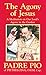 The Agony of Jesus by