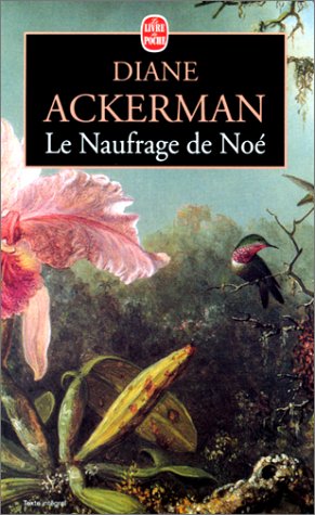 Le  naufrage de Noé