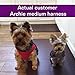 Comfort Fit Dog Harness No Pull No Escape Harness Adjustable Buckles Soft Padded Reflective Choke Step in Dog Vest with Easy Control Handle for Small Medium Large Dogs & Puppies