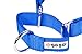 GoGo Pet Products GoGo 1-Inch Martingale Dog Collar, Large, Blue