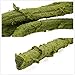KERUIDENG Solid Bendable Reptile Vines Decor for Climbing,Flexible Bend Jungle Vines Pet Habitat Decor Plant for Gecko Chameleon Climbing Lizards Snakes and More Reptiles (6ft Long)