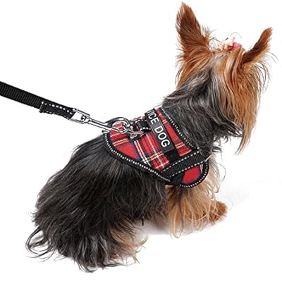 Dealmux Réfléchissant Puppy Dog Harnais Laisse Réglable De