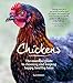 Chickens by Suzie Baldwin