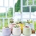 Mkono 3.5-Inch Ceramic Succulent Plant Pots Small Cactus Planter Modern Flower Pots, Set of 6 in Different Color