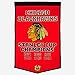 NHL Dynasty Team Banner