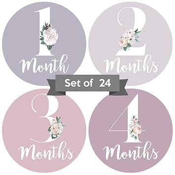 baby month stickers girl