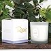 NEOVIVA HOME Scented Candles with Lavender & Bergamot with 100% Natural Essential Oils Aromatherapy Candle Soy Wax for Stress Relief and Aromatherapy Quality Gift 9.9 Ounce (White, Large)thumb 1