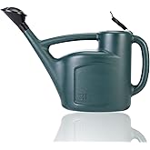 Small Watering Can for Indoor Plants, 0.8 Gallon Plastic Plant Watering Can with Long Spout, Lid and Detachable Sprinkler Head, 3L Lightweight Watering Pot for House Plants and Garden Flower