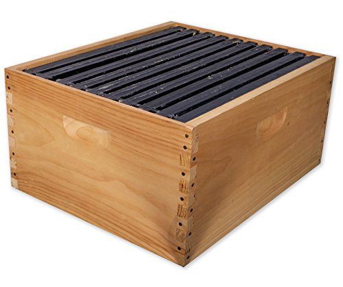 10 Frame Full Hive Kit - Deep With Plastic Frames - Premium Top Cover and Bottom Board