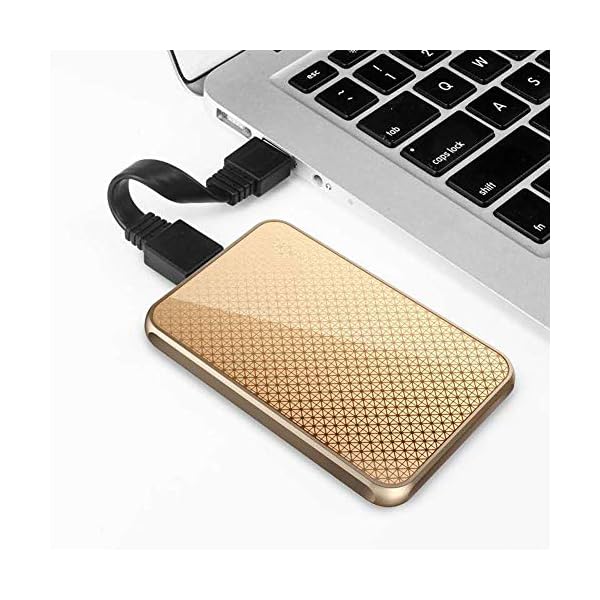 Boyi Outdoor Externe Festplatte 1,8 Zoll USB3.0 Mobile Anti-Vibration Und Anti-Fall Eingebaute Verschlüsselung Leicht… – Bild 7
