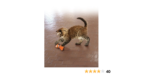 kong cat toys amazon