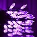 Lalapao Outdoor Lights M5 Battery Operated String Lights 50 LED Lights Clear Mini Fairy Christmas Lighting for Xmas Tree Indoor Outdoor Garden Patio Lawn Party Home Decorations (Purple)
