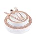 Plastic Silverware Thanksgiving Disposable Plate Set - 25 Guests - Includes Rose Gold Dinner and Appetizer Dessert Plates, Forks, Knives Spoons - 125 Pcs Total