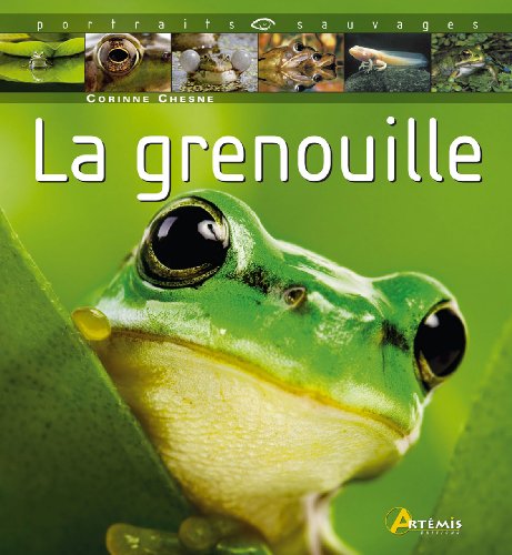 La  grenouille
