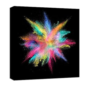 signwin Canvas Wall Art Colorful Powder Canvas Prints...