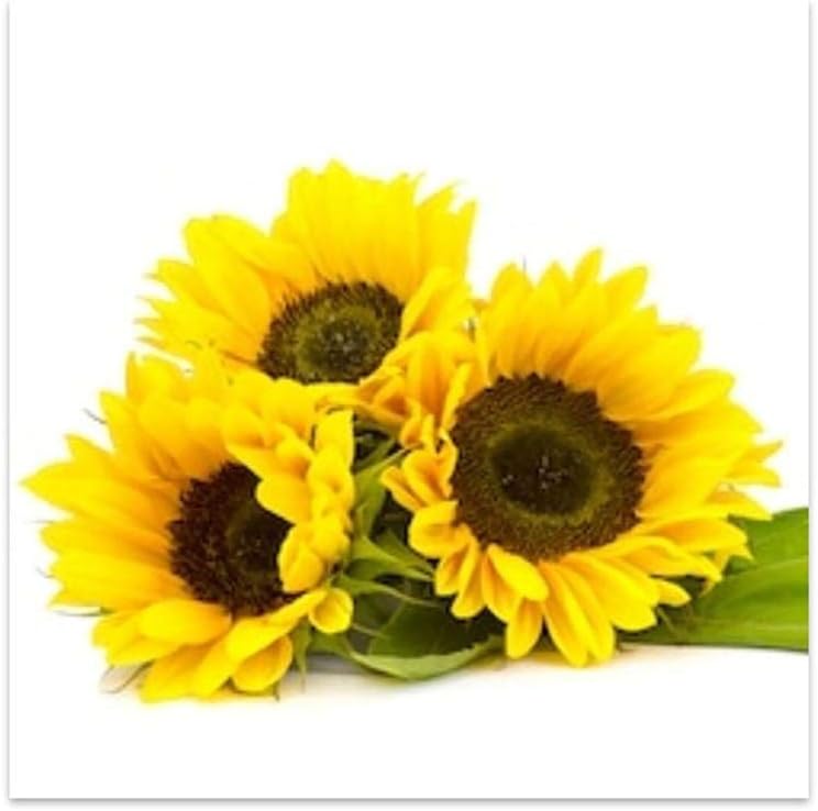 Tmacok Sunflower Crystal Rhinestone Resin Diamond Painting Embroidery Cross Stitch Wall Decoration Living Room Bedroom Home Decoration
