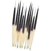 10Pcs Porcupine Quills Hair Stick Indian Crafts Accessories Fishing Buoy DIY Thick
