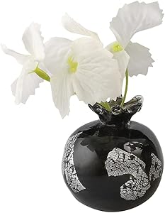 C&Z Hand Blown Glass Flower Vase for Plants Pomegranate Shaped Black Small Floral Bud Vases for Single Flower Home Decor Living Room Centerpiece