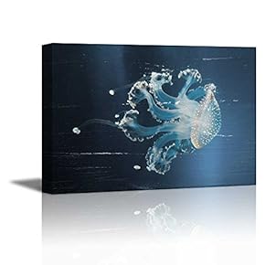 Jellyfish Under The Ocean on Vintage Wood Background