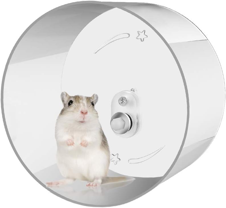 gerbil exercise wheel