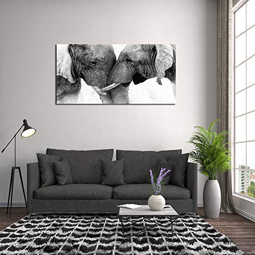 DZL Art D73050 Black and White Elephants Entwine Wall Art Canvas