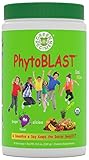 Green Regimen - PhytoBLAST (Grape Flavor) - Organic Multivitamin Smoothie with Omega 3 - Green Powder SuperFood. 20+ Fruits and Vegetables per serving - Includes Recipe Book. Delicious Green Smoothie.