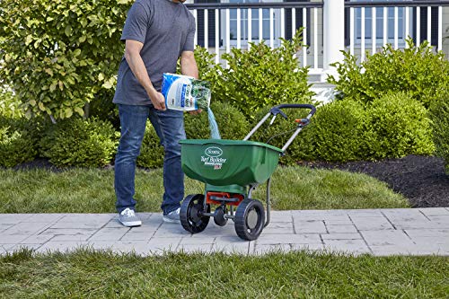 2 Scotts+Turf+Builder+Grass+Seed