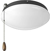 Progress Lighting 2-Light Ceiling Fan Light Kit for AirPro Collection Ceiling Fans, Modern Tranisitonal Style with Wide Low P