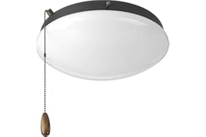 Progress Lighting Two-Light Universal Opal Glass Fan Light Kit, Graphite