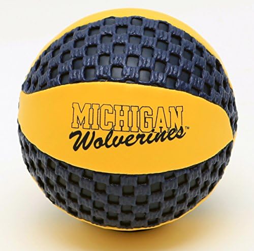 fun gripper Michigan Wolverines 5.5 Mini Basketball NCAA