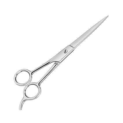 Foreign Holics Professional Stainless Steel Barber, Saloon Hair Cutting Scissor 6.5 Inch (Silver)