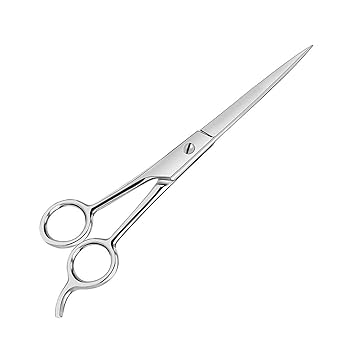 Foreign Holics Professional Stainless Steel Barber, Saloon Hair Cutting Scissor 6.5 Inch (Silver)