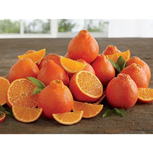Amazon Com Rare Florida Honeybell Oranges Honeybell Tangelos Grove Fresh Three Trays 30lbs Gourmet Fruit Gifts Grocery Gourmet Food